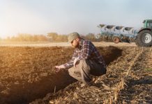 Sesiuni de instruire la DAJ Gorj pentru 34 de agricultori gorjeni