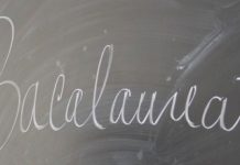 Rezultatele finale de la Bacalaureat vor fi afișate astăzi