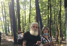 Pădurea Colorată – atracția turiștilor care vin pe Transalpina!