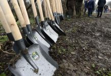 APIA Gorj primește cererile pentru schema ,,Sprijin pentru prima împădurire și crearea de suprafețe împădurite”