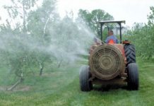 Noi reglementări fitosanitare pentru produsele vegetale
