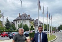 Rotaru și-a depus candidatura