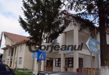 O primărie din Gorj caută șofer