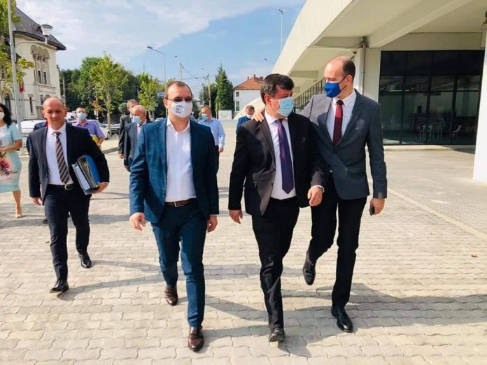 romanescu candidatura (1)