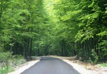 PE ŞUŞIŢA SEACĂ SPRE BORDUL DOBRIŢEI