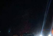 FOTO: Mistreț pe DN 66, un șofer nu l-a mai putut evita