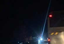 Accident la Vîrț – Un mistreț a fost lovit mortal, iar o mașină grav avariată