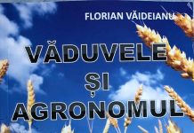 VĂDUVELE ȘI AGRONOMUL – Un roman de Florian Văideianu – Cronică literară –