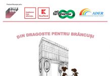 Proiectul ,,Din dragoste pentru Brâncuși” ia startul, la Târgu-Jiu