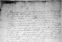 DOMENIUL MEGIEȘILOR DIN COMUNA STOINA ÎN SECOLUL AL XIX-LEA