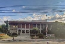 Licitație pentru reabilitarea Casei de Cultură din Târgu Jiu!
