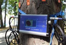 Romanescu: Monitorizare pentru copacii din Târgu Jiu