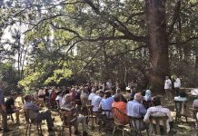 Atelierul național de poezie ”Serile la Brădiceni” se va desfășura online