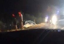 Accident la Sadu – Un tânăr a ajuns la spital, după ce mașina în care se afla a acroșat un porc mistreț