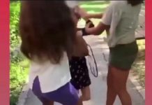 Un nou caz de violență între minori: Fetiță din Motru, pălmuită de altele