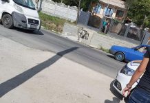 Biciclist accidentat mortal