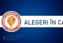 Au început alegerile pentru desemnarea reprezentanților elevilor în CA-urile școlilor