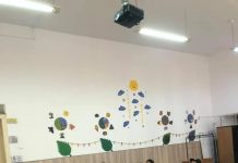 Două cazuri de coronavirus, confirmate în rândul cadrelor didactice din Gorj