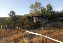 Paznic găsit mort la locul de muncă