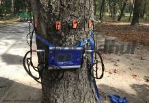 „Tomograful copacilor”, deja funcțional în Parcul Central!