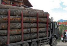Material lemnos confiscat de polițiști, dar și o amendă de 10.000 de lei