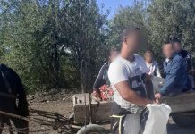 Căruțași din Târgu Jiu, amendați de agenții de la Locală