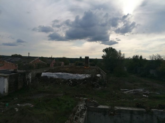 121464894_346516533303732_3519255974316558149_n