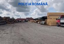 FOTO: Peste 150 mc cherestea și 18 mc material lemnos, confiscați de polițiști
