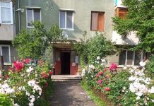Apartament fără pic de căldură, nepăsare din partea Asociației de Proprietari nr.15 Motru