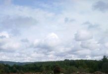 Garda de Mediu, în control la Urdari