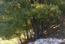 Garda de Mediu, în control la Runcu!