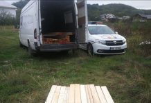 Tânăr din Mureș amendat și cu cheresteaua confiscată