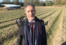 La Bustuchin e vremea culesului de șofran