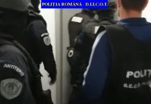 Percheziții în două județe în legătură cu activităţi de administrare şi protecţie a fondului forestier naţional