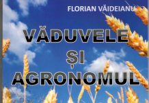 Scriitorul gorjean Florian Văideianu – lansează un nou roman: ,,Văduvele și Agronomul”