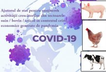 Trei gorjeni au solicitat sprijinul APIA în sectorul bovine