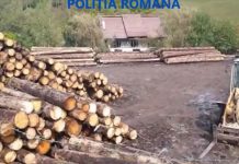 Percheziții în Gorj