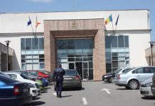 Pădurarii din „Mafia Lemnului” – arest la domiciliu pentru 30 de zile