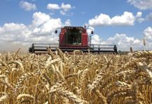 Agricultura pe înțelesul tuturor – Înființarea culturilor de toamnă