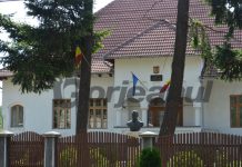 Gorjeni condamnați pentru furt de lemne