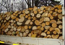 Cercetați pentru furt de lemne