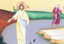 Lumina, şi Adevărul, şi Viaţa – Dumnezeu seamănă Cuvântul pe ogorul Său, deoarece ne propune jertfa inteligenţei care se înclină în faţa Înţelepciunii divine a împreunălucrării Sale şi a omului!