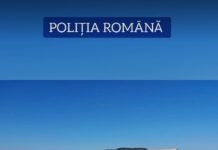 Firme amendate pentru nereguli silvice