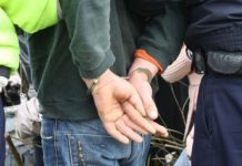 Prins băut și fără permis de polițiști