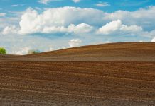 E bătut în cuie: se înființează Camera Agricolă Județeană Gorj! Preia o parte din atribuțiile DAJ