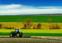 MADR anunță lansarea sesiunii de depunere a cererilor pentru submăsura 4.1