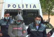 Pădurari din Tismana și Peștișani, încătușați de procurori!