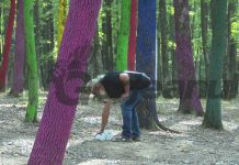 Mizerie și nesimțire în Pădurea Colorată! Maestrul Țopescu, nevoit să adune gunoaiele!