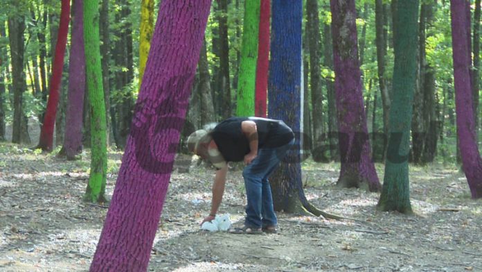 vlcsnap-2020-10-08-21h13m52s289