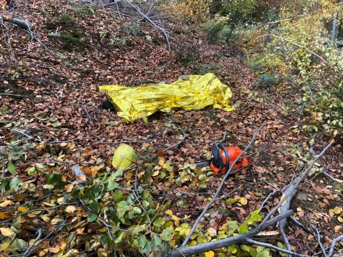 123728433_3680945741928436_5279433645476679808_n